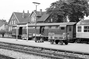 z16653_groot.JPG