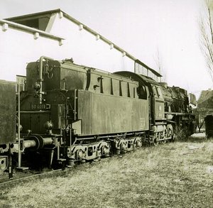 504011oel.jpg
