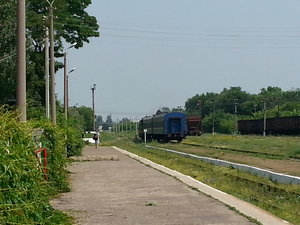 20160619_101731.jpg