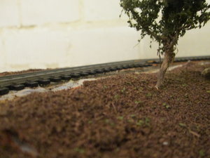 IMG_3020.JPG