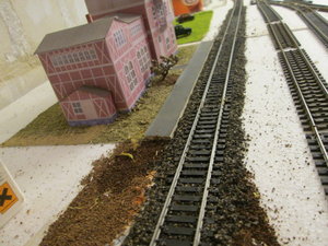 IMG_3077.JPG