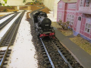 IMG_3080.JPG