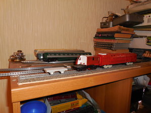 DSCN8868.JPG