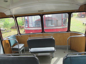 IMG_3876.JPG