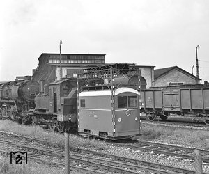 33769.jpg