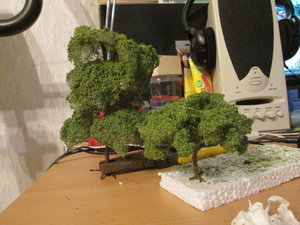 IMG_4997.JPG