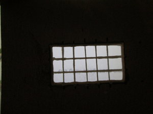IMG_5206.JPG