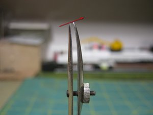 IMG_0798.JPG