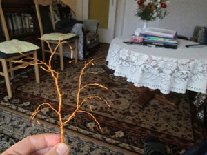 IMG_5218.JPG