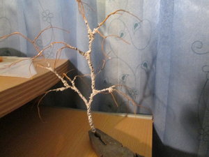 IMG_5223.JPG