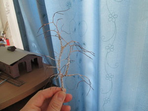 IMG_5233.JPG