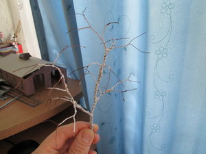 IMG_5234.JPG