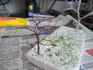 IMG_5235.JPG