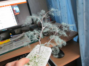 IMG_5237.JPG