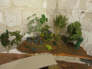 IMG_5255.JPG