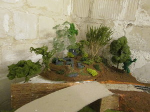 IMG_5256.JPG