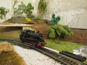 IMG_5259.JPG
