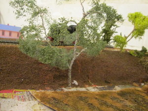 IMG_5260.JPG