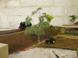 IMG_5261.JPG