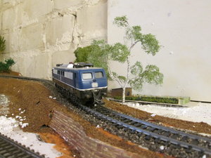 IMG_5263.JPG