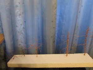 IMG_5269.JPG