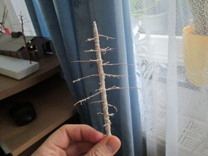 IMG_5279.JPG