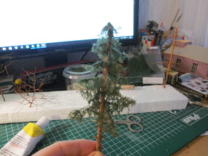 IMG_5284.JPG