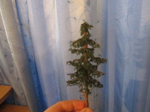 IMG_5285.JPG