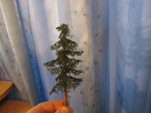 IMG_5287.JPG