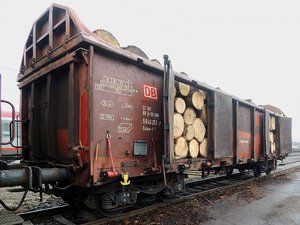 ealos-t3780d-db-sni5946212-7-mit-rundholzstaemmen-beladen-bereit-763342.jpg