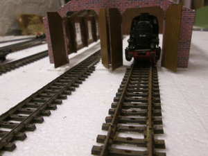 IMG_5329.JPG