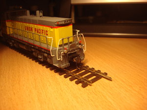 DSC09935.JPG
