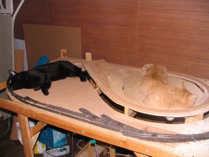 IMG_8274_s.jpg