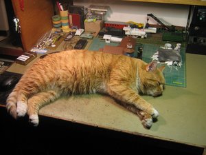 IMG_1134.JPG
