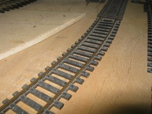 IMG_1142.JPG