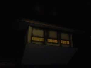 image.jpeg