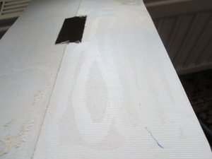 IMG_5430.JPG