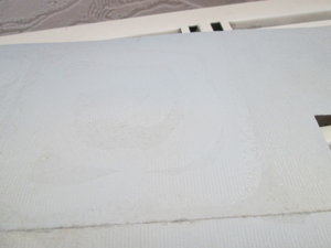 IMG_5431.JPG