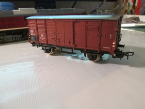 IMG_5456.JPG