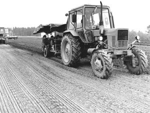 mtz_5.jpg