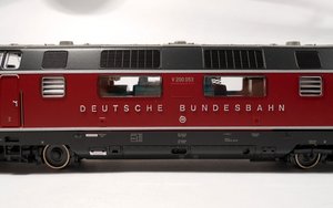fau 1.jpg