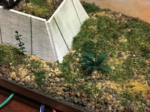 IMG_2749.JPG
