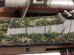 IMG_2810.JPG