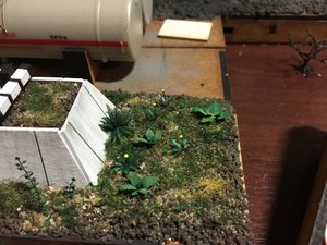 IMG_2811.JPG