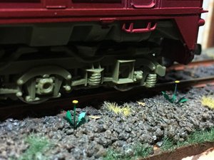 IMG_2815.JPG
