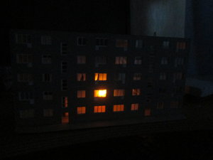 IMG_5578.JPG