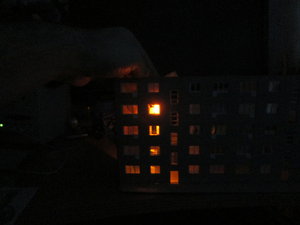 IMG_5579.JPG