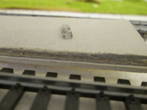 IMG_5600.JPG