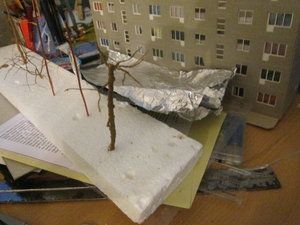 IMG_5640.JPG