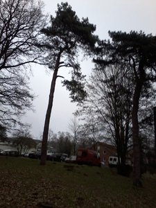 20170206_154415.jpg